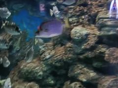 -临沂极地海洋王国