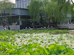 -莲湖公园