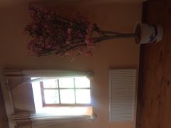 波兰倒置屋-金山农民画村-枫泾波兰倒置屋