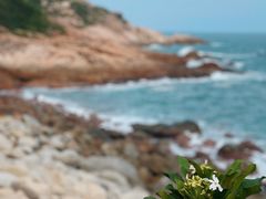 -广东惠东海龟国家级自然保护区