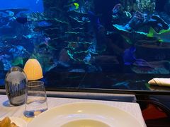 -迪拜帆船酒店海底餐厅