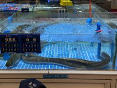 -皮记海鲜1995(寮步店)
