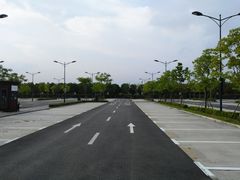 -迪士尼乐园停车场