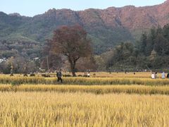 -塔川景区