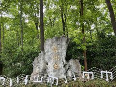 -音乐台
