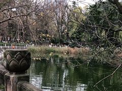 -绵阳人民公园(涪城区)