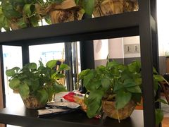 -新贝乐意大利餐厅(苏州中心店)