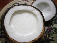 -志龙皇冠吃货椰子铺