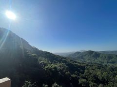 -黄埔油麻山森林公园