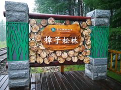 -莫尔道嘎国家森林公园