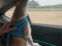 -八毛凉皮总店(西小路店)