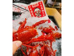 -旺小胖小龙虾
