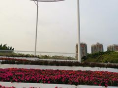 -深圳国际园林花卉博览园