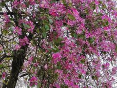 -南丰汇(新港东路店)