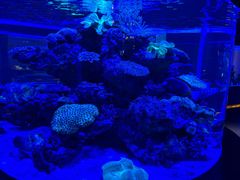 -上和臻品中国菜(花园街店)