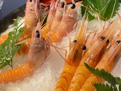 -Mr.Fish鱼鲜生海鲜放题(高德置地冬广场店)