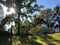 -三鹰之森吉卜力美术馆