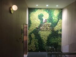 -重庆安琪儿妇产医院-妇幼保健联盟医院