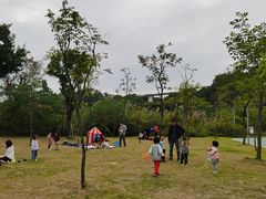 -飞凤山奥体公园