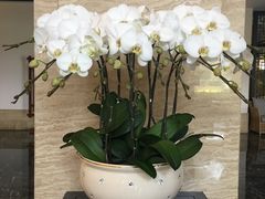 -天目湖御水温泉·度假酒店