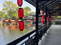 -侨美·唐荔园·40年地道粤菜