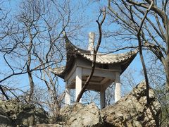 -紫金山山顶公园