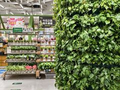 -鹿岛生活(熙地港店)