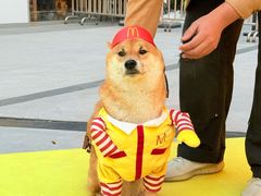 -OCT PARK欢乐时光