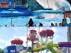 -海合安成都极地海洋公园