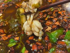 双椒蛙-川道拐耗儿鱼(旗舰店)