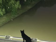 -南京眼步行桥