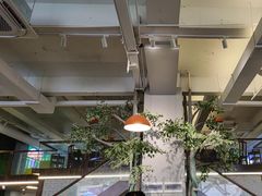 -菌乡缘·野生菌蒸汽鱼火锅(江边夜市店)