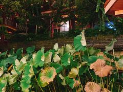 -枇杷园食为鲜火锅(南山店)