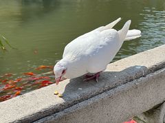 -重元寺