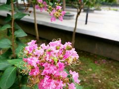 -后襄河公园
