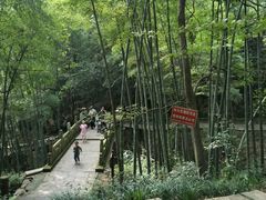 -敬亭山风景名胜区