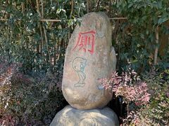 -合肥滨湖国家森林公园