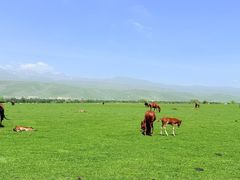 -新疆那拉提国家旅游度假区