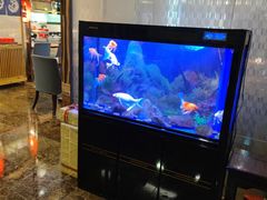 -宜昌富力皇冠假日酒店·咖啡1号西餐厅