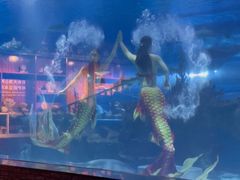 -成都浩海立方海洋公园