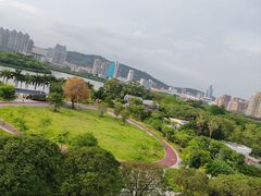 -白鹭洲公园