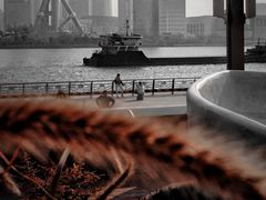 -北外滩滨江绿地