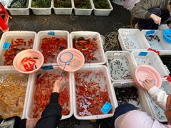 -清平路水族市场