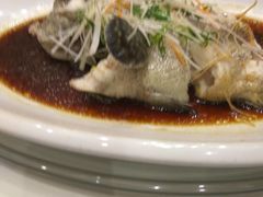 -頂好酒家·经典粤菜(海信广场店)