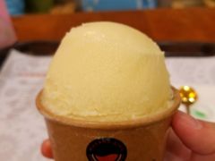 -MUSANG KING猫山王(龙湖杭州滨江天街店)