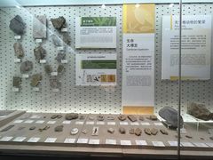 -浙江自然博物院(杭州馆)