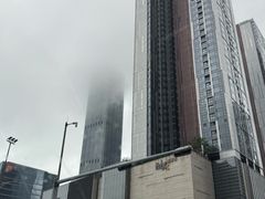 -CURRY YA 熟成咖哩專門店(深圳湾万象城店)