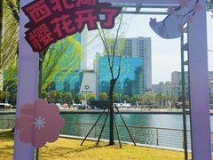 -西北湖绿化广场