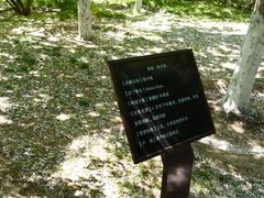 -海棠花溪(元大都城垣遗址公园)