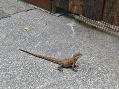 -可伦宾野生动物保护区